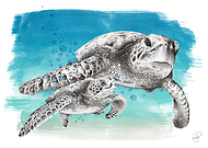 2019-03-05/7995e5848bae18ff91b3f03d574153ce_18803413960f2aaf8e0637bccd75628c