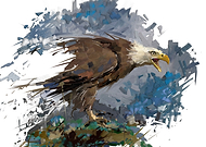 2019-03-05/de4c1b81e9d7398aa1fa6b06d307da77_f946cc21c1da503d801a52f9535b9325