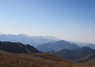 2019-03-06/5a2f1d1dd9cc3d952cef6af978d59626_7aa54ebb63ed1d697816a1a195be3fb2