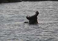 2019-03-06/65b07d8a8dc979729b56cc5d9b962cde_bff2459913d9f83a77795d264144fef0