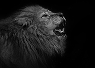 2019-03-07/06c45c43857fb0413917a4164a5f8fd6_d6af27b0f98c312ee4ce07dfab1cce2a