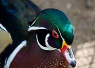 2019-03-07/0a48ac03ed731b2edb8edf5c26436d73_029eb62ac8a8b076f21250e4d3185f75