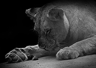 2019-03-07/2525a32c0a9dde820b592045976ac1b1_f6f017745c0c85ba0c996e7b649118ca