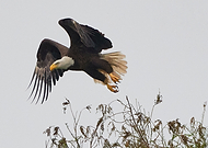 2019-03-07/26b4c9901e860231eda597e837ccc353_53d3b53749b38afecef7129ed22cea75