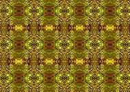 2019-03-07/791d23adea5879b3862ff27a650aa25d_26aeaf13daa6e33108087067f30f6937