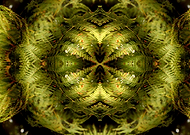 2019-03-07/ca73bc1d9402e12d8830f8739ef5837a_fb472d3b481bf5016b5f1e95cb30bcb1