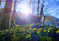 2019-03-08/11e44ab8f3d2fc08557800c07b75e20c_9ab0fdcd3292ac4ebc26b9fe2b0f3dc4