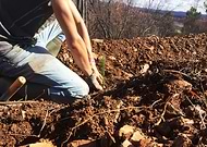 2019-03-08/2b554c93174fda0446eb7db92623b51e_47943beb737774dabf8eba12b70fe5ff