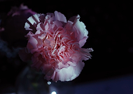 2019-03-08/8ebf32a7c1f28aaa9c425adcb610bdd5_7dd6c4b9df37d01324727692403e2783