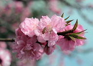 2019-03-08/9dbf5bd8bf01859d7221e0e9544ded0f_cc9fca46d409202b1cc52cd9c96e17b9