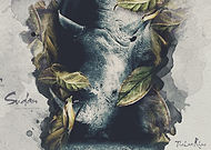 2019-03-09/18fb8cc5000c0c69894484d8363144a8_4a35fff7e0146bd53929db127d829d9b