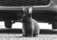 2019-03-09/1e12b18853895435dc6f661110868c3c_df472be5cd1b2af1beda359e8b83773a