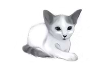 2019-03-09/3ed63d8ec0c495ec12801d34ad603621_1a3304c380c312e559e9539f730e3567