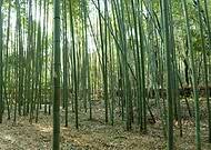 2019-03-09/4b7be97bd2252d5245b930b1edbae51a_5610c1448879c145fb26b3f5bc0cd91e