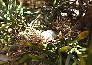 2019-03-09/4de3ede846075f501e84882f2e5ab6dd_33acf4ad9584f62e94d51160f3ccb5d0