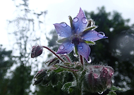 2019-03-09/60d956224034e9f2002500a438596985_11f9eefe27248d6bd30b0828acfe1f1c