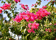 2019-03-09/79af20fd4fe7f2f27aec4bf13f72513e_54d2b5190e4c63c93a95747e4e503eee