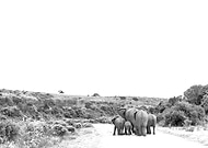 2019-03-09/92409ae052f8162365ebb9a838910ce1_ca71127f56b23be22fabd66d1b678ee5