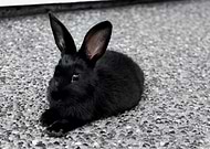 2019-03-09/a34e6a45cfd0e6f75c1b1cd859ed01ae_d28993ace72da6f759b0bbc620e12e9f