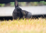 2019-03-09/b07d63679a0f3be7350dfe188cbf0ec8_6ae3b115887b1a1dc6c374a91130a059