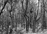 2019-03-10/3c7ab334ad4c738e88870c139b614289_70a6c33db6efadf7403dfd05da68ce4a