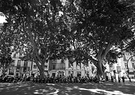 2019-03-10/4491a5cd41123eccfd1f41c0582218c0_0a4e0bba632cf6206fd95c69971cf507