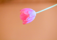 2019-03-10/651c4d925e5fc2565d41033b5b9bb547_60d667ff339ae8fb396a282ef7e07a55