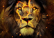 2019-03-10/66837641032f90eae9a378ec0e55264c_4909c76634e9977db97a93656d39a137