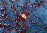 2019-03-11/1cae4a0314dd2b72c0dc32f6aaea5737_db32db6f442f70c8768abfc988fd9096