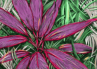 2019-03-11/4f160305d13b2a72a5d58245f0ad9377_185d30e0ba862eff13cda362f3643622