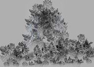 2019-03-11/72e95dafc64b9a72db53d1fdf03700de_da71545e3456260288c2e06158ba4f24