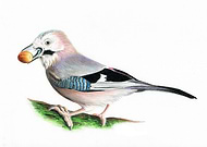 2019-03-11/bffa64c4a83db627290d53b30db51bc1_24f6bb1252ab08128098384dd3795267