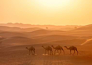 2019-03-12/724c18229e32084d3311cdf2688c7084_5fd493416ec1e5508ca2338c2829357e