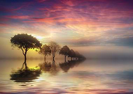 2019-03-12/76fb89db3f18fca7f71fa18434481e5a_12f68bacc8d1bc6f0f3f76a57c9f0fef