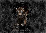 2019-03-12/7de330da5b3da6195ef049fe0a2e538a_a51735289464e1eb6b6a024cbd8aaff1