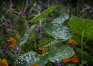 2019-03-12/adbb2dfcc77af2b6dccce50fa41f1822_e78290df2da2c6217cc4d4cd857156e0