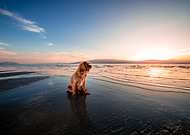 2019-03-12/fb22b59f9fc732f0c206f80733bebf82_5aa497aeba11c78d059a9456da4a885c