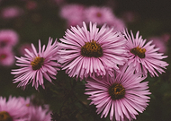 2019-03-13/45f26b91a1cce78a0668fb1d639fac5f_e0b969b9a093866fa2e8d7a5cbb649f8