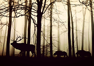 2019-03-13/5c0b707ab2312616139488690e6868d3_896af7e39195943b6385c34098c8ddb2