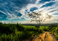 2019-03-13/6ca5ebb9ef412901eca7713a843b564e_57237f779763e84f2f14ce02b8446d86