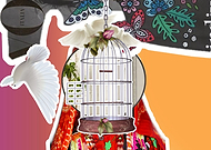 2019-03-13/b862ebdf1f3ef16b2ed190fbb1fe76f0_f46615d61e4fe1f3453c69ab9361836e