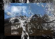 2019-03-13/d9ef63ff8d940af85964817716d43288_39a8a030e4f30bccc5cbc5d6e5b7634d