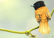 2019-03-13/ea099a76a3eb1e6e7e33ba69c7858724_f876535fa32110e51188076fedb2eb67