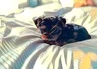 2019-03-14/e869f9ec8e4353a18297c6f1c821e1cf_138a373caac15e1e4c4209e3e03b8bd0