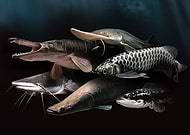 2019-03-15/3c3f62c555e4def0d1e3437e56fbb6ac_b1d950765bcf9ea5697617528cea5e07