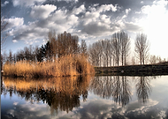 2019-03-15/41f99e2ef2712560017064336c59db51_6d392ff5fd806a7742c89afba4a57dc3