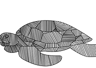 2019-03-15/474d4720060e3da4952202b9b61c844e_2034b196752bb7e571279b2f2c8861d4