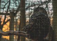 2019-03-16/975e6334480df9818b4ac71a276ad7db_5f0fc688773d952a16d2b9f72e022925