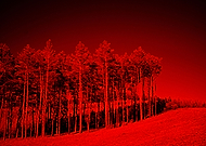 2019-03-16/af82f2ecb0c672a407cff2e4fe5d8f53_49aa1d2136bb72a9eed0db53d8258261