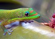 2019-03-16/ef9e9133881742d2662f7a6ef70993fb_d439e832a353a2ac016f54c19f82e6f6